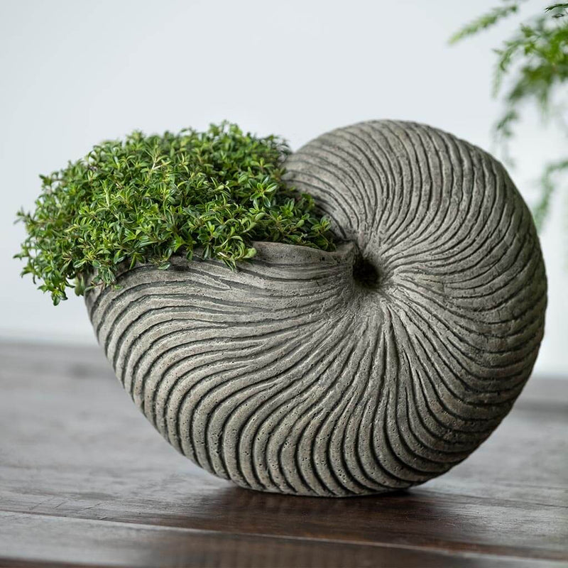Campania International Ammonite Planter, shown in the Alpine Stone color.