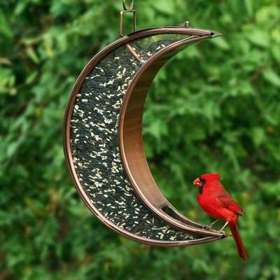 Good Directions Crescent Moon Bird Feeder in Copper Finish