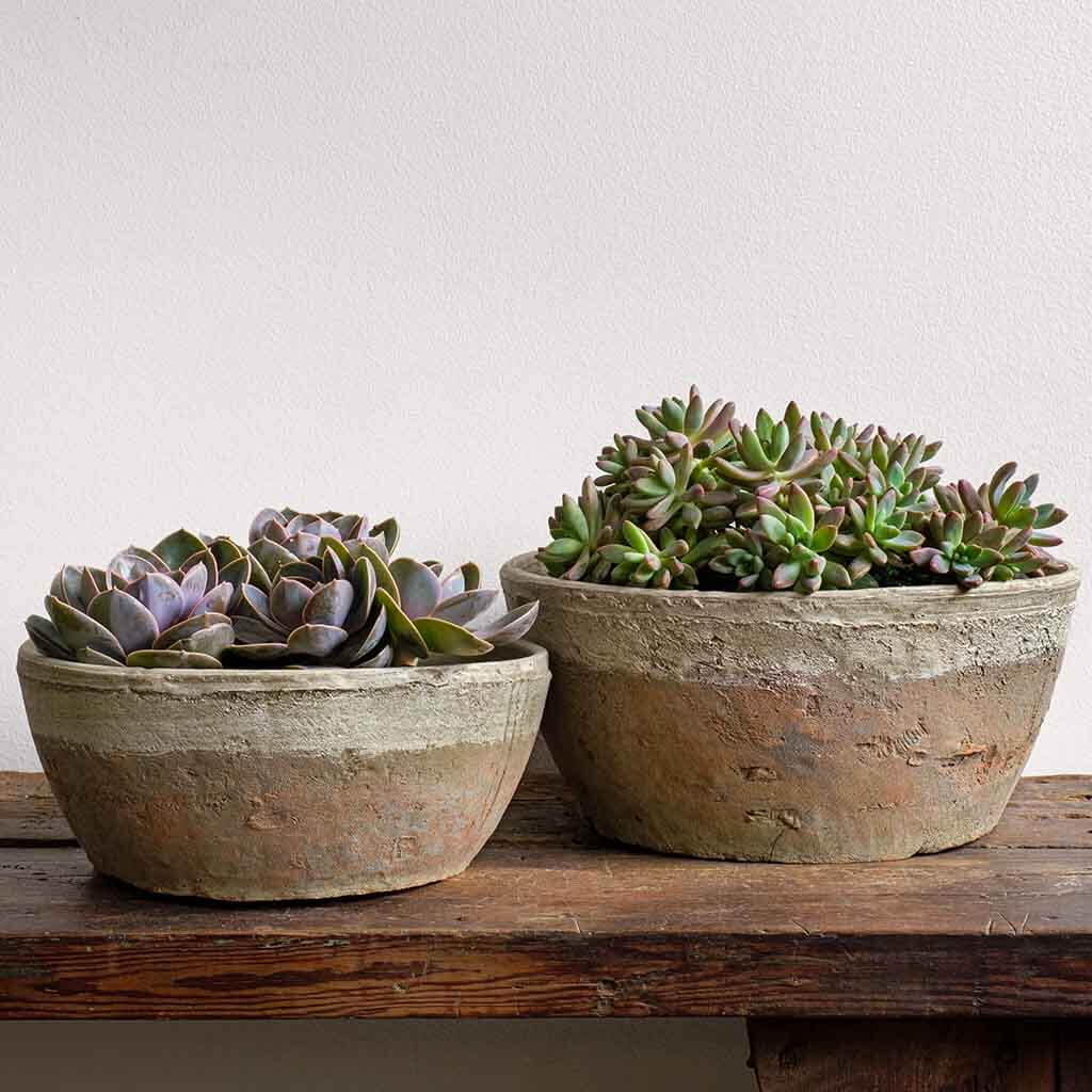Campania International Farmer’s Bowl Planter