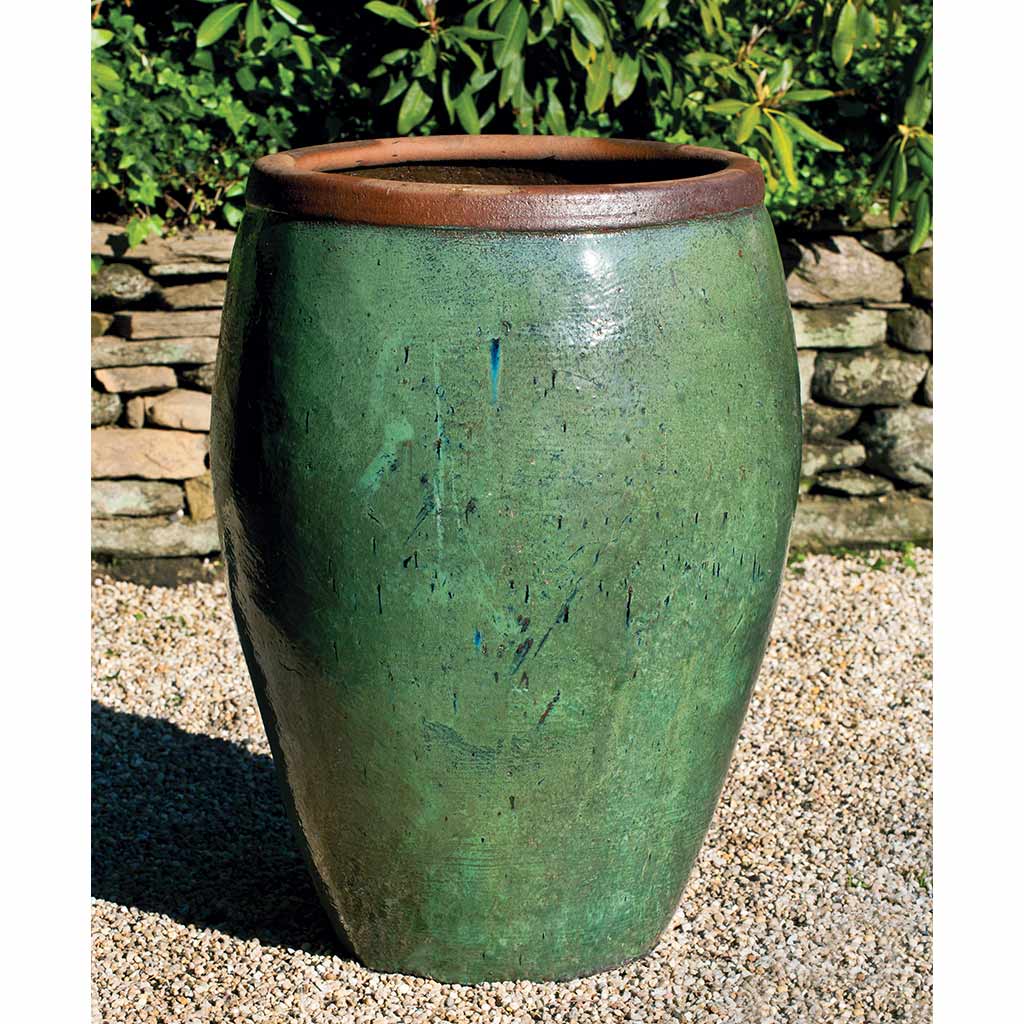 huge jade plant for sale 60cm Giant Crassula Ovata Minor (Jade Plant) – Bristol Plant Man
