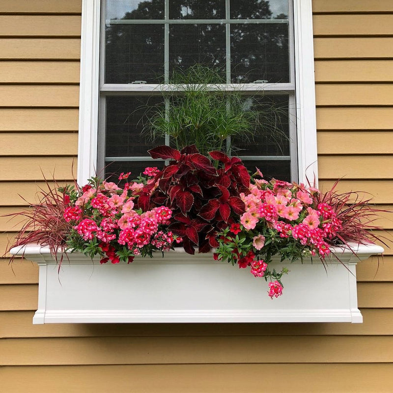 The Mayne Yorkshire 4ft Window Box, in the white finish, planted and mounted on home for curb appeal