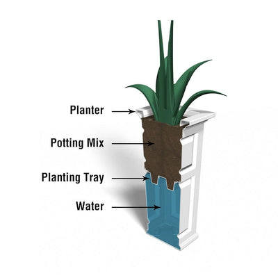 The Mayne Nantucket Tall Planter cross section instructions on how the self-watering process works.
