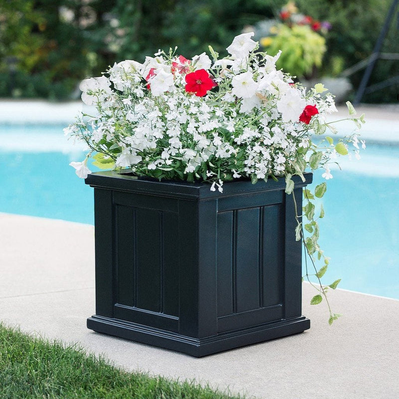 The Mayne Cape Cod 14x14 Square Planter, in the black finish, planted and placed near home for curb appeal.