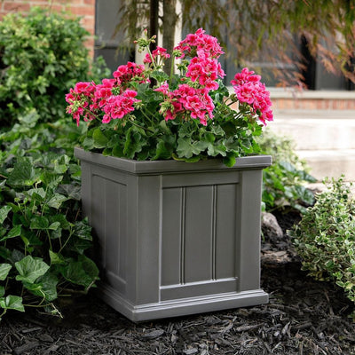 The Mayne Cape Cod 14x14 Square Planter, in the graphite finish,planted and placed near home for curb appeal.