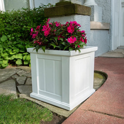 The Mayne Cape Cod 14x14 Square Planter, in the white finish, planted and placed near home for curb appeal.