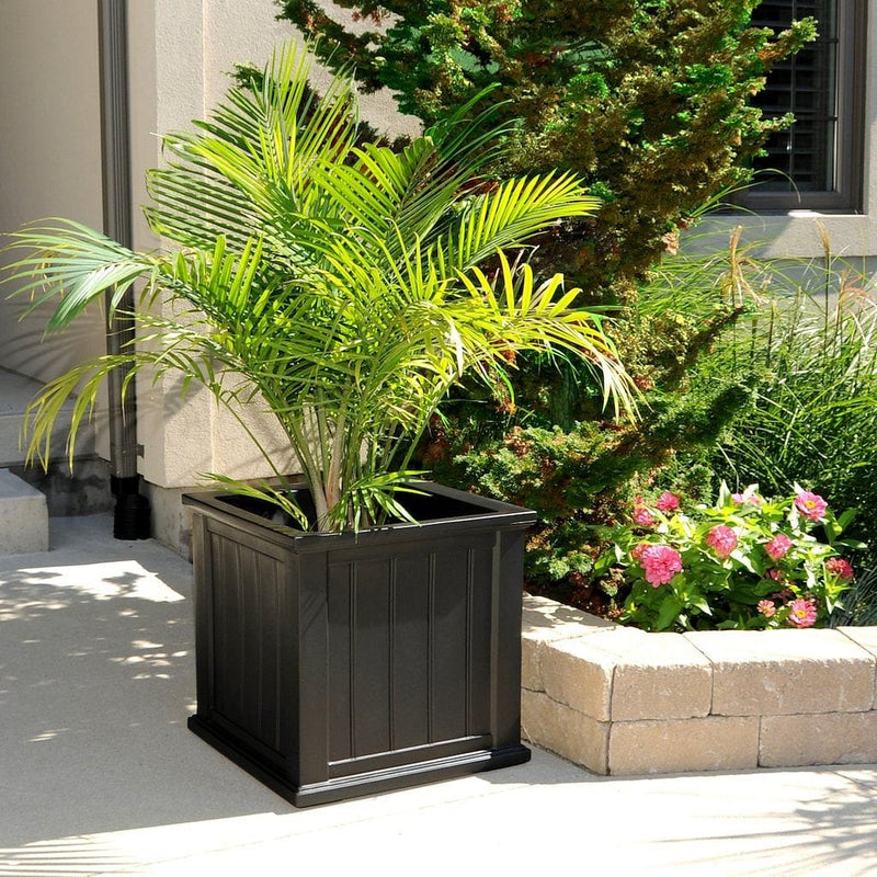 The Mayne Cape Cod 20x20 Square Planter, in the black finish, planted and placed near home for curb appeal.