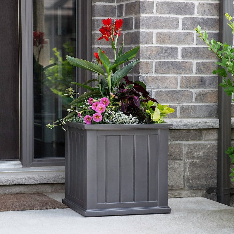 The Mayne Cape Cod 20x20 Square Planter, in the graphite finish,planted and placed near home for curb appeal.