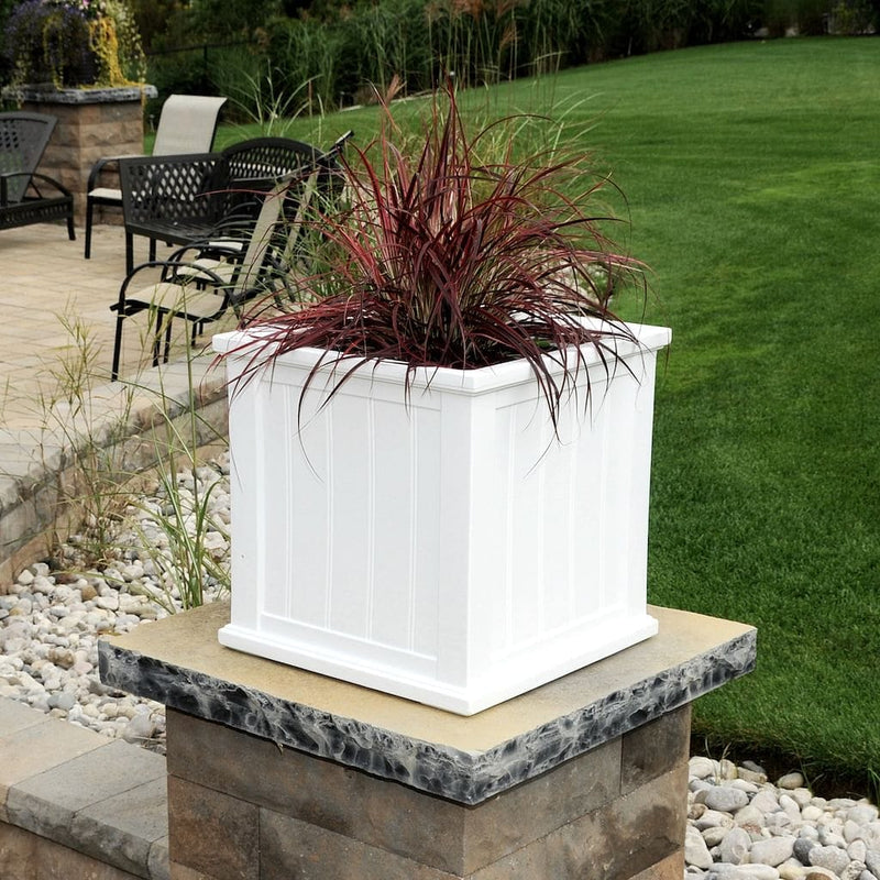 The Mayne Cape Cod 20x20 Square Planter, in the white finish, planted and placed near home for curb appeal.