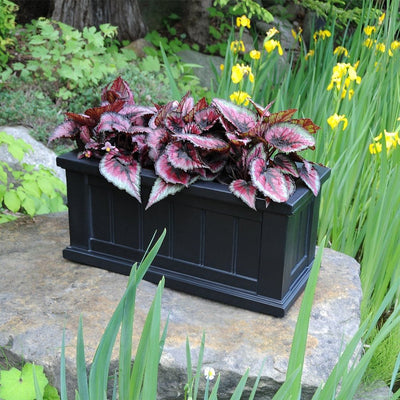 The Mayne Cape Cod 24x11 Planter, in the black finish, planted and placed near home for curb appeal.