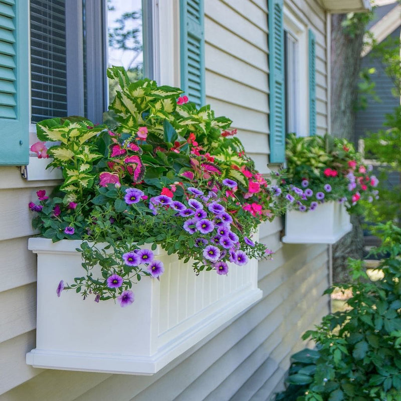 The Mayne Cape Cod 4ft Window Box, in the white finish, planted and mounted on home for curb appeal