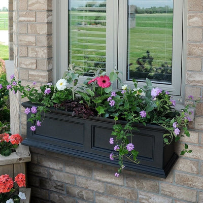 The Mayne Fairfield 3ft Window Box Planter, in the black finish, planted and mounted on home for curb appeal