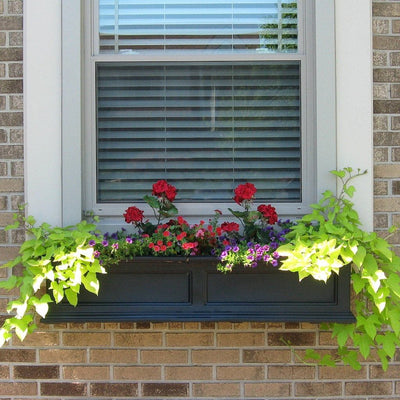 The Mayne Fairfield 4ft Window Box Planter, in the black finish, planted and mounted on home for curb appeal