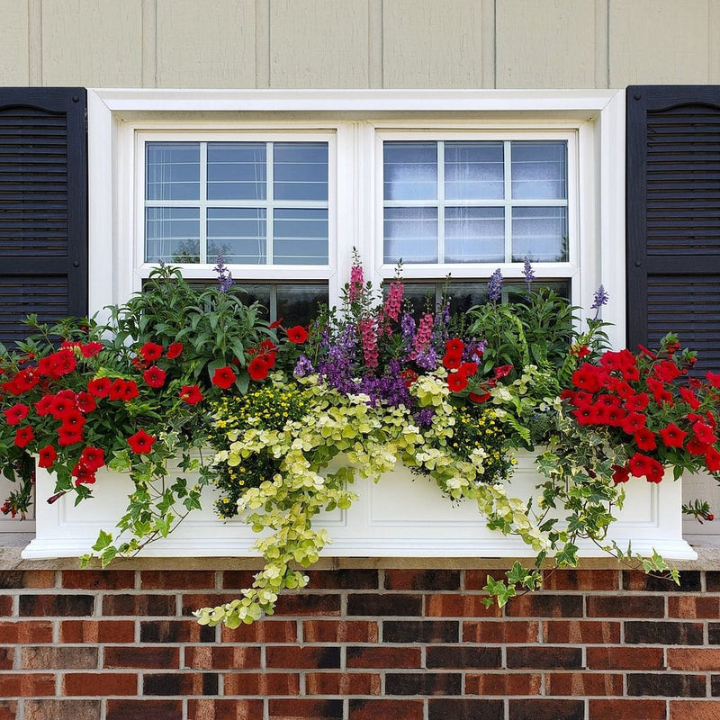 The Mayne Fairfield 4ft Window Box Planter, in the white finish, planted and mounted on home for curb appeal