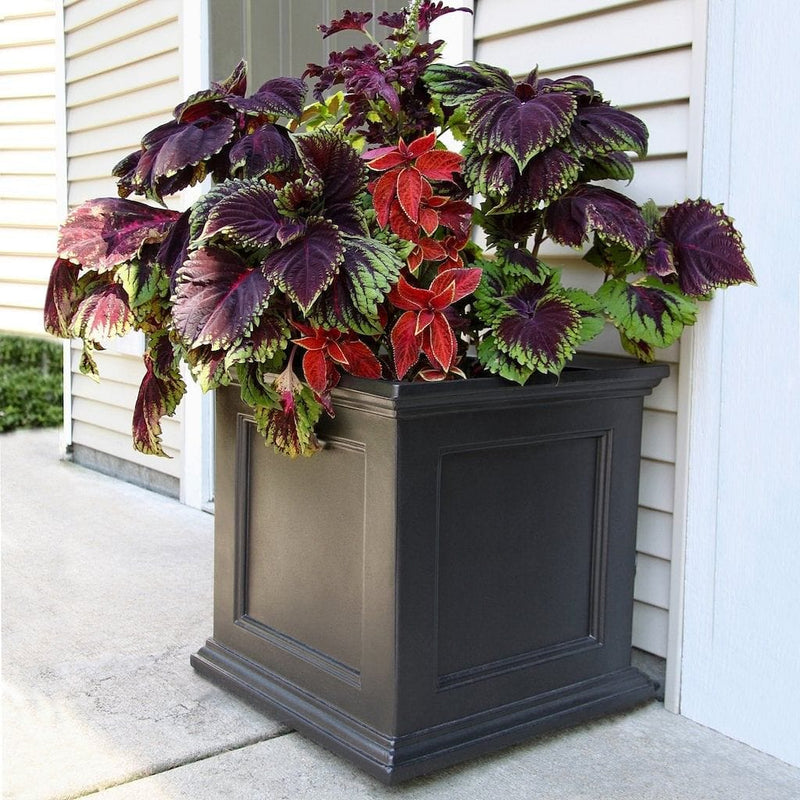 The Mayne Fairfield Square Planter, in the black finish, planted and placed near home for curb appeal.