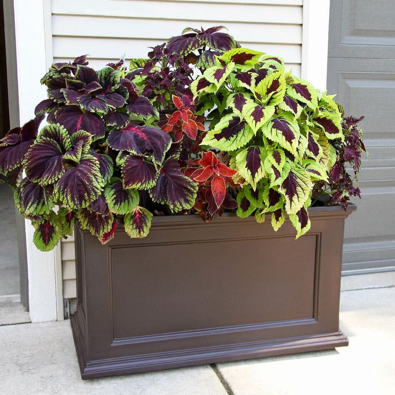 The Mayne Fairfield 20x36 Planter, in the espresso finish, planted and placed near home for curb appeal.