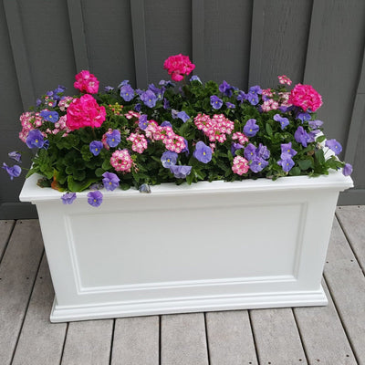 The Mayne Fairfield 20x36 Planter, in the white finish, planted and placed near home for curb appeal.