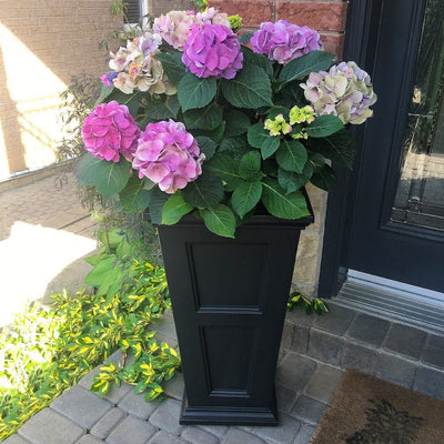 The Mayne Fairfield Tall Planter, in the black finish, planted and placed near home for curb appeal.