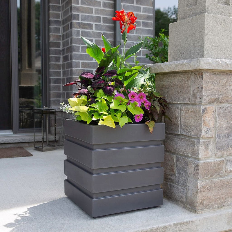 The Mayne Freeport 18x18 Square Planter, in the graphite finish,simply planted with flowers to add curb appeal to a front entry of a home.