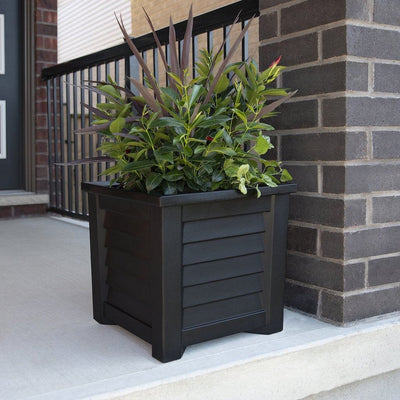 The Mayne Lakeland 16x16 Square Planter, in the black finish, simply planted with greenry to add curb appeal to a front entry of a home.