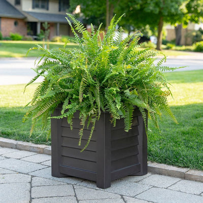 The Mayne Lakeland 16x16 Square Planter, in the espresso finish, simply planted with soft fern to add curb appeal to a front entry of a home.