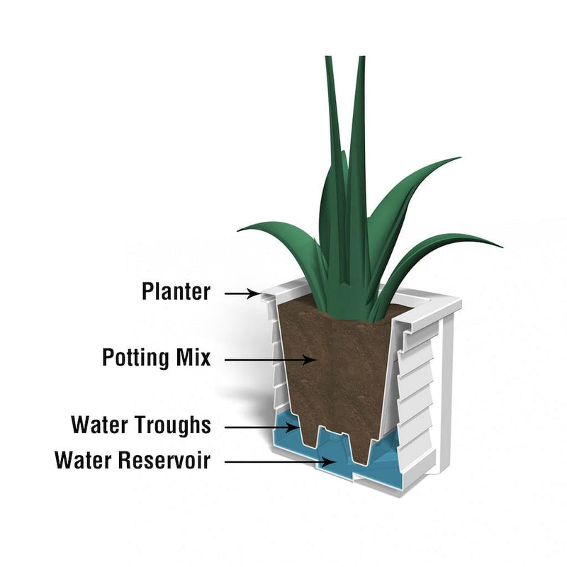 The Mayne Lakeland 16x16 Square Planter cross section instructions on how the self-watering process works.