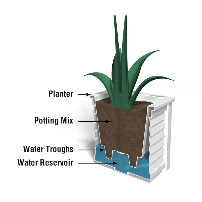 The Mayne Lakeland 20x20 Square Planter cross section instructions on how the self-watering process works.
