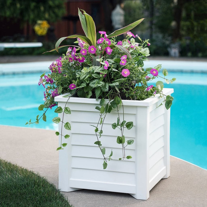 The Mayne Lakeland 20x20 Square Planter, in the white finish, planted with cool season annuals, decorating a pool side patio.