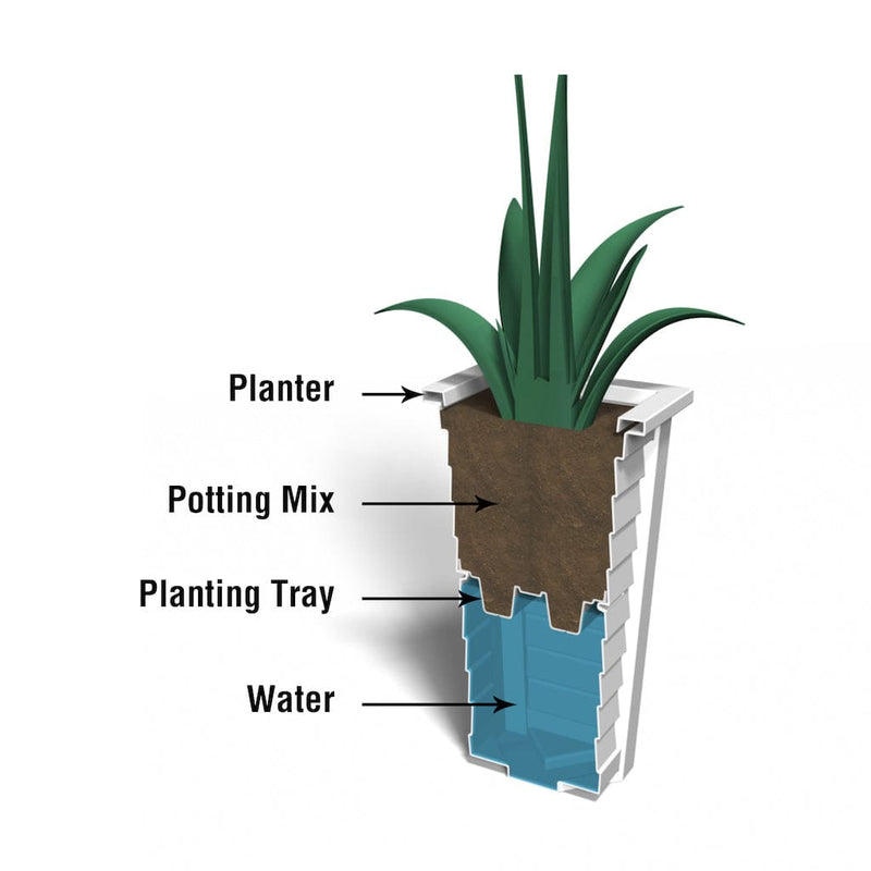 The Mayne Lakeland 28 inch Tall Planter cross section instructions on how the self-watering process works.