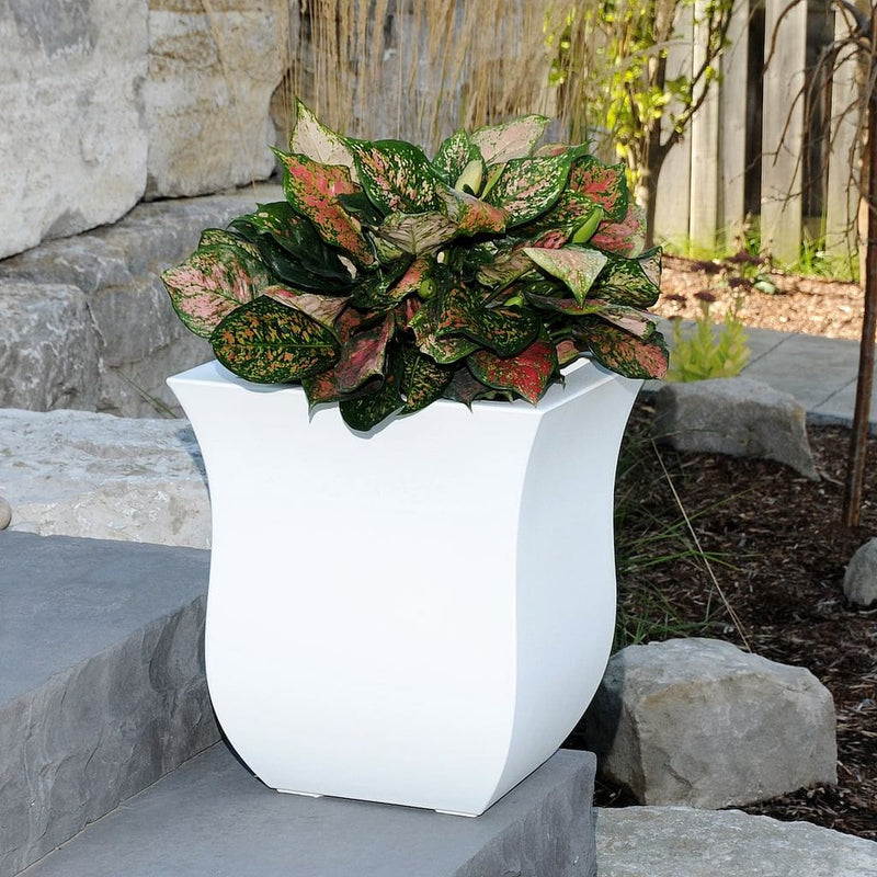 The Mayne Valencia Square Planter, in the white finish, filled with shade foliage and nestled in the garden.