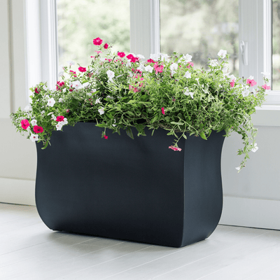 The Mayne Valencia Long Planter, in the black finish, planted with colorful flowers and placed indoors by a sunny window.