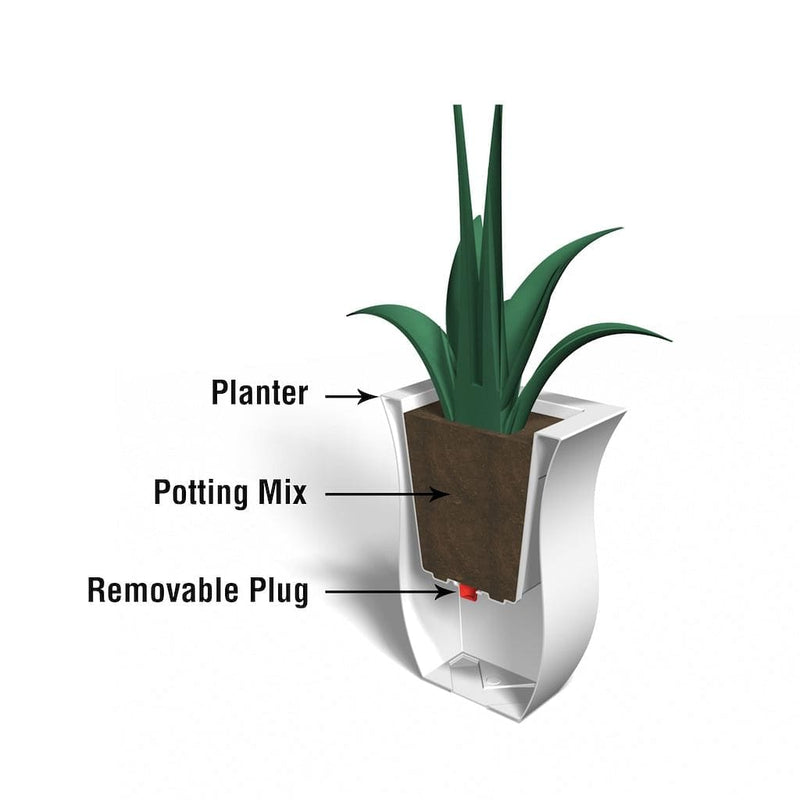 The Mayne Valencia Long Planter cross section instructions on how the self-watering process works.