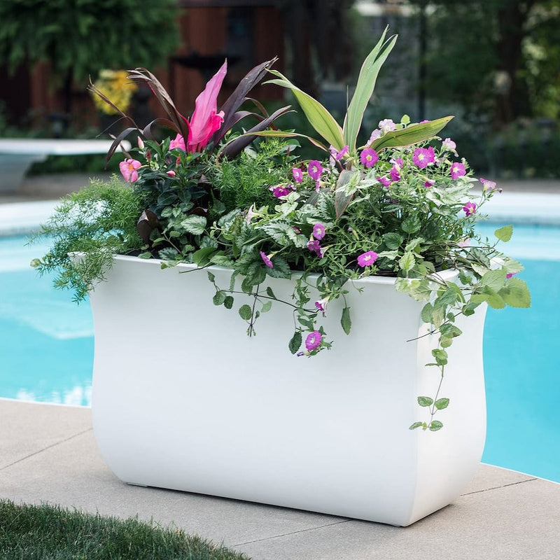 The Mayne Valencia Long Planter, in the white finish, planted with colorful flowers and placed pool side.