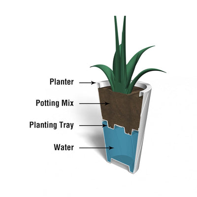 The Mayne Versailles Tall Round Planter cross section instructions on how the self-watering process works.