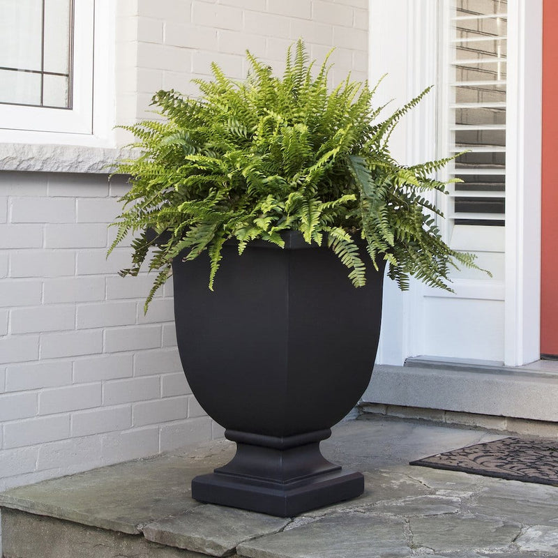 The Mayne Augusta Tall Planter, in the black finish, simply planted with soft fern to add curb appeal to a front entry of a home.