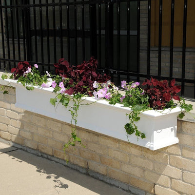 The Mayne Yorkshire 7ft Window Box, with a white finish, planted with annual color and placed on a fence to define the space.