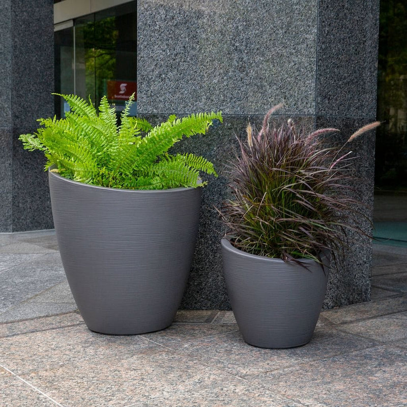 The Mayne Modesto Round Planter, in the graphite finish, two sizes filled with foliage at an urban entryway.