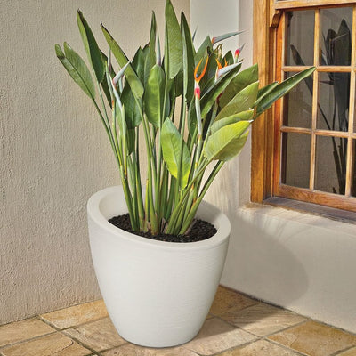 The Mayne Modesto Round Planter, with a white finish, planted with tropical foliage to add curb appeal to a home entryway.
