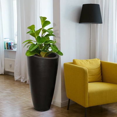 The Mayne Modesto Tall Planter, in the black finish, indoors with a lush plant, accenting a room.