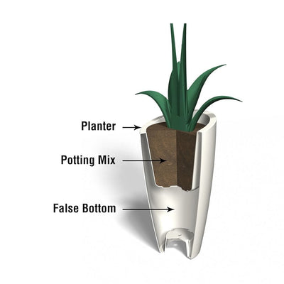 The Mayne Modesto Tall Plantercross section instructions on how the self-watering process works.