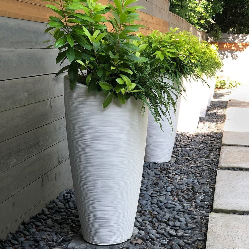 The Mayne Modesto Tall Planter, with a white finish, is used in a pattern to create a visual rhythm in the garden