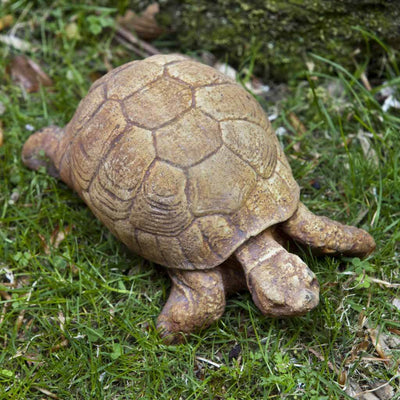 Campania International Turtle Statue, set in the garden to add charm and character. The statue is shown in the Brownstone Patina.