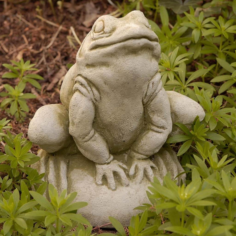 Campania International Frankie the Frog Statue, set in the garden to add charm and character. The statue is shown in the English Moss Patina.