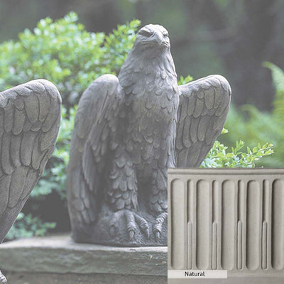 Natural Patina for the Campania International Eagle Looking Left and Right Statue is unstained cast stone the brightest and whitest that ages over time.