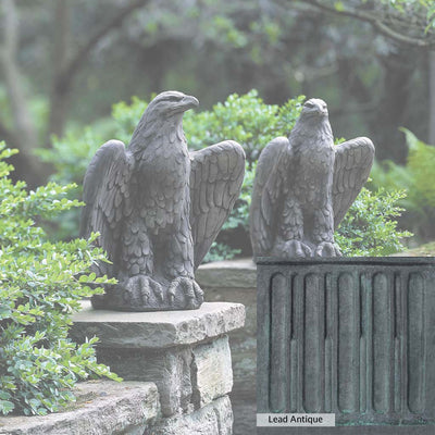 The Lead Antique Patina for the Campania International Eagle Looking Left and Right Statue, aged blue and grey layered to give the look of a classic antique lead patina.