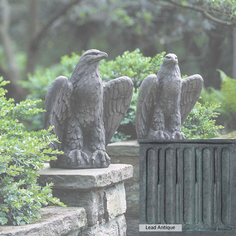 The Lead Antique Patina for the Campania International Eagle Looking Left and Right Statue, aged blue and grey layered to give the look of a classic antique lead patina.