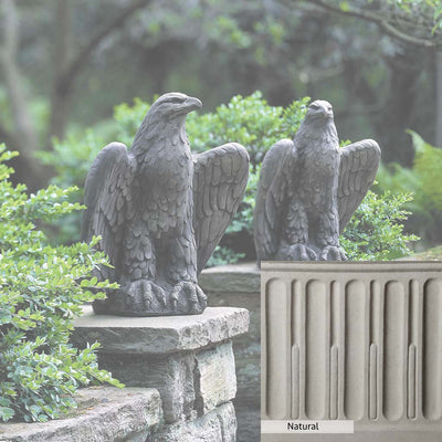 Natural Patina for the Campania International Eagle Looking Left and Right Statue is unstained cast stone, the brightest and whitest finish that will age.