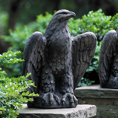 Campania International Eagle Looking Left Statue stained in the Alpine Stone  patina, the ideal color for this garden statue.