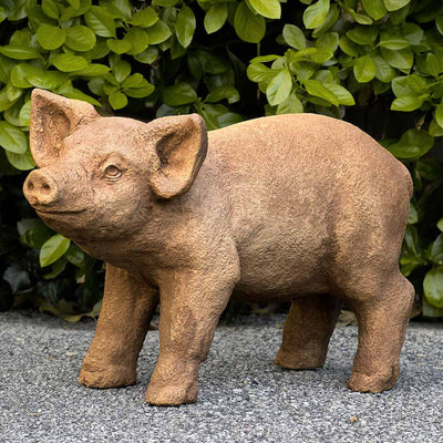 Campania International Curly Pig Statue stained in the Brownstone  patina, the ideal color for this garden statue.