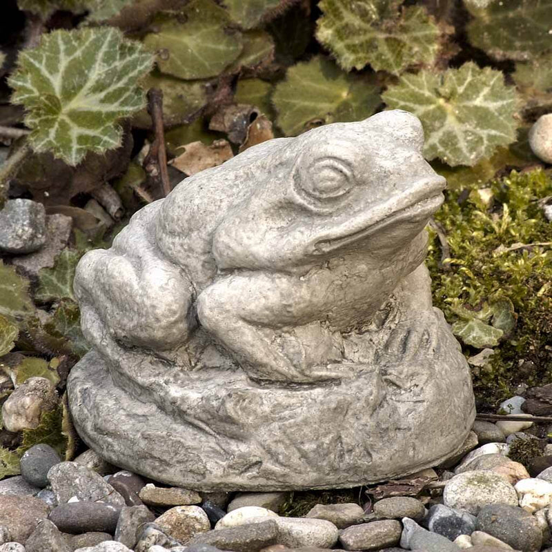 Campania International Tiny Frog Statue, set in the garden to add charm and character. The statue is shown in the Greystone Patina.
