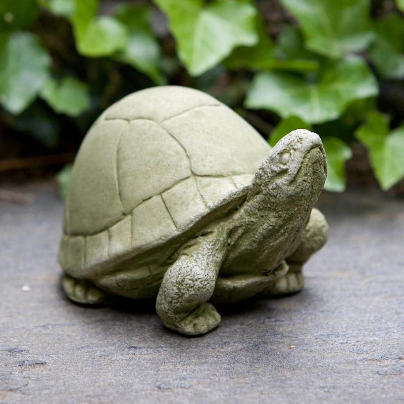 Campania International Box Turtle Statue, set in the garden to add charm and character. The statue is shown in the English Moss Patina.